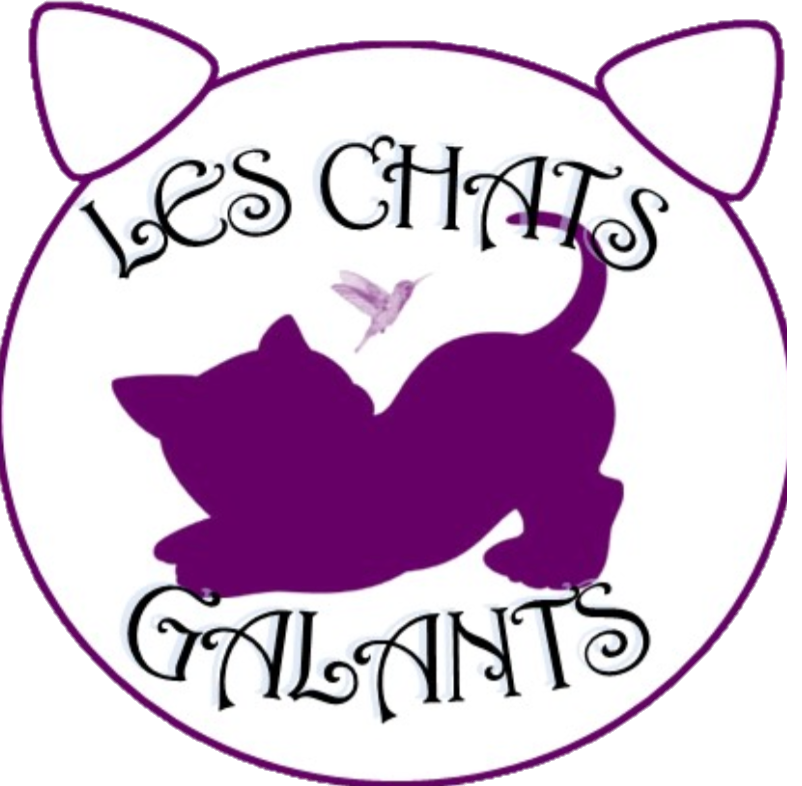 les chats galants