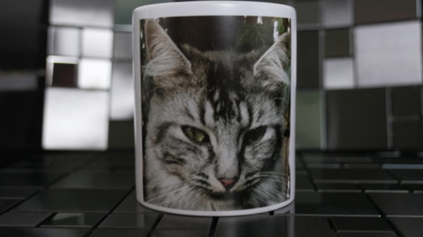 mug chat galant
